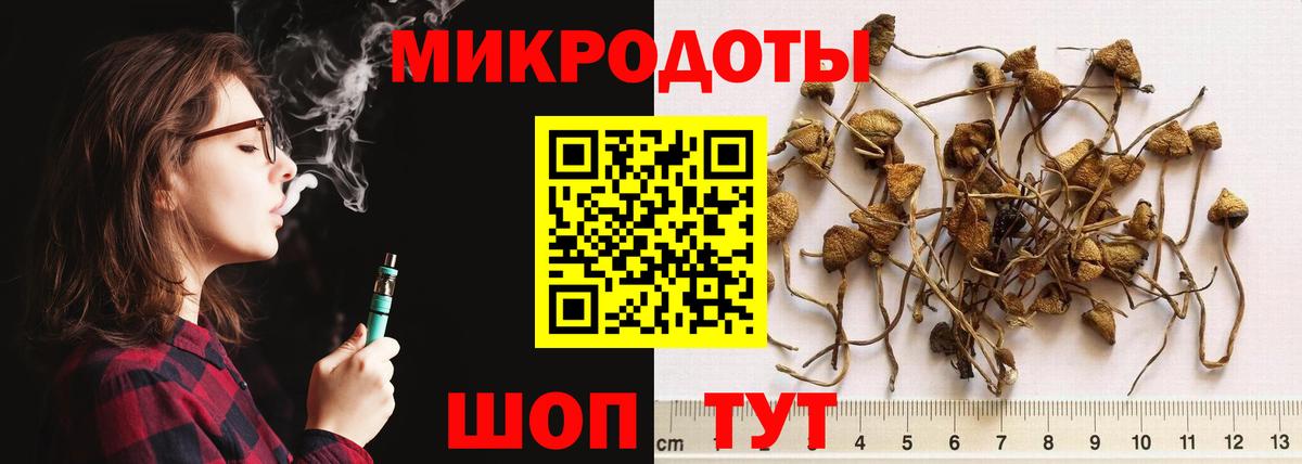 Кузнецк  Галлюциногенные грибы мухоморы  Вход с VPN 