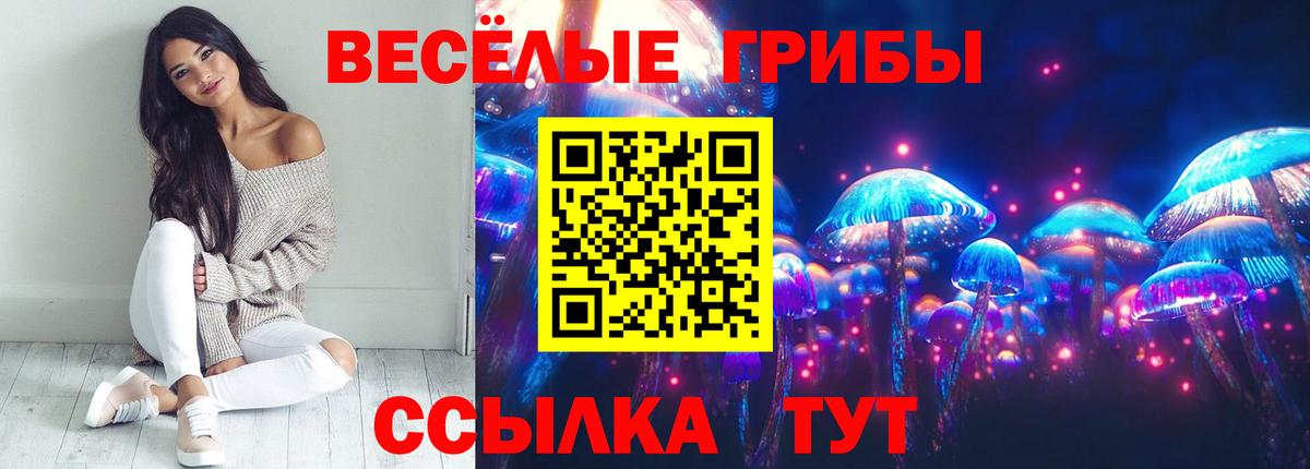 Галлюциногенные грибы Psilocybe Кузнецк